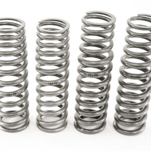 VelocityAP progressive tapered lowering springs installed on Aston Martin Vanquish and DBS for improved stance, ride quality, and handling performance.